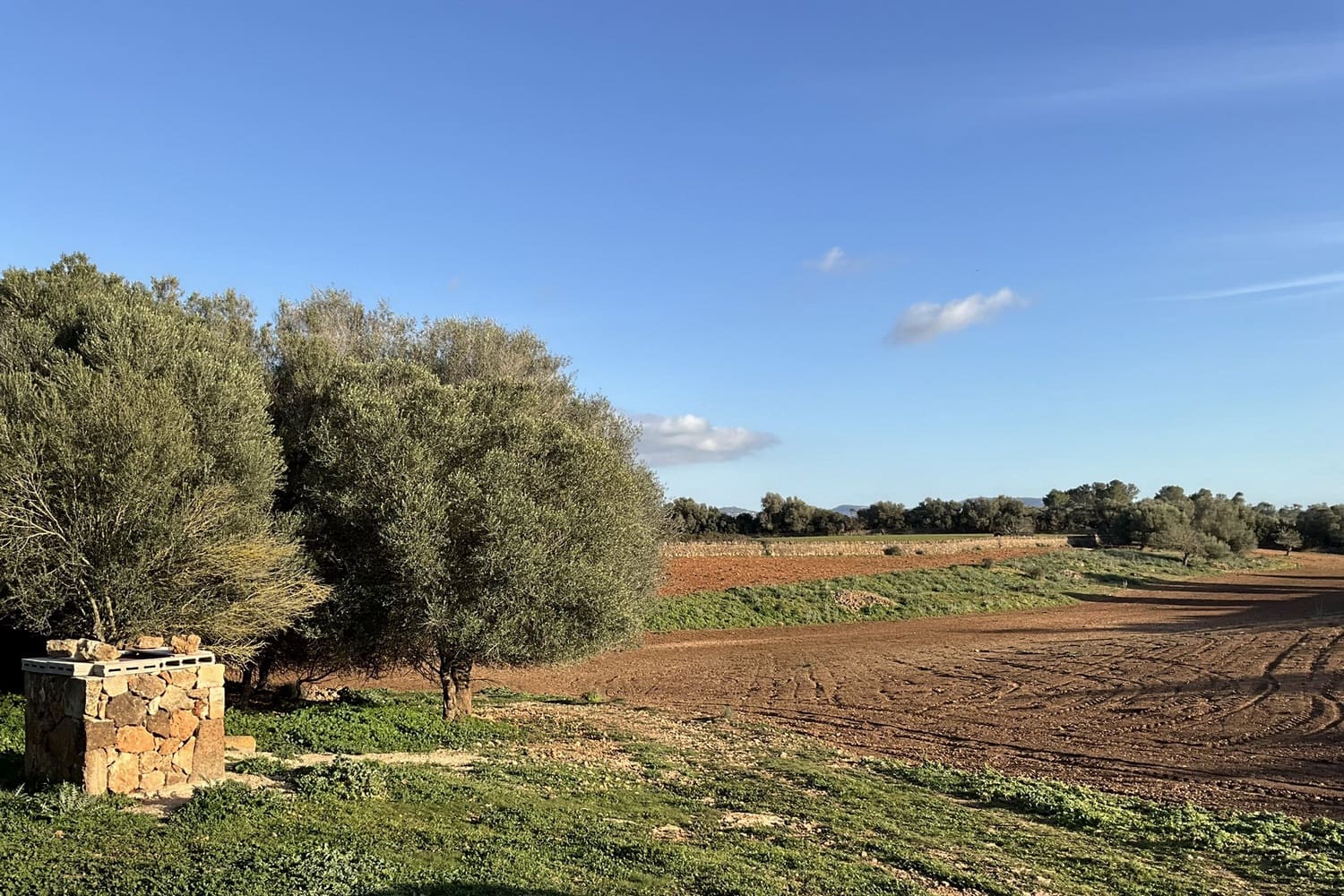 Terrain à Bâtir à vendre à Campos - 320 000 € (Ref: 9325198)