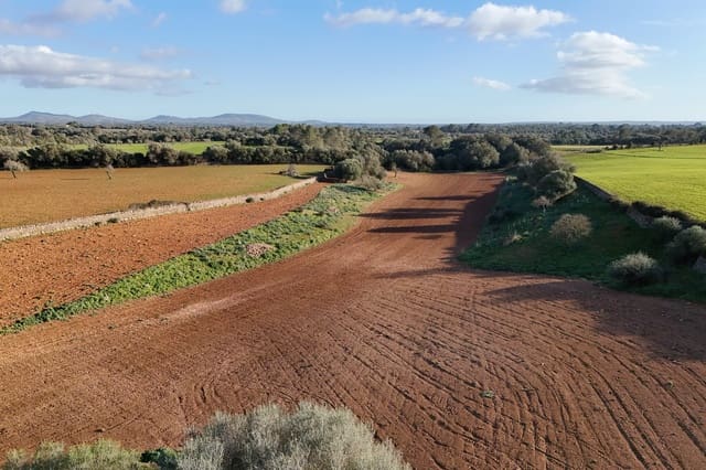 Bauplatz zu verkaufen in Campos - 320.000 € (Ref: 9325198)