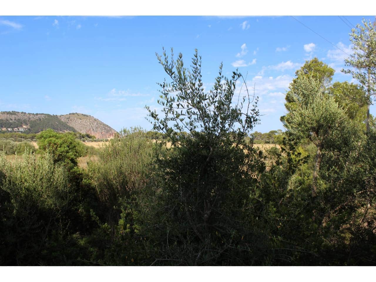 Grunde uden byggetilladelser til salg i Canyamel - € 180.000 (Ref: 5010413)