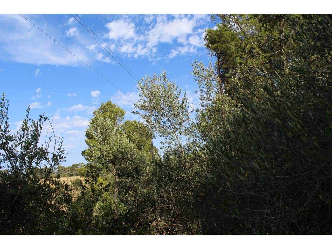 Grunde uden byggetilladelser til salg i Canyamel - € 180.000 (Ref: 5010413)