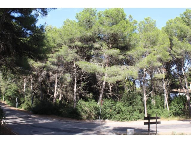 Grunde uden byggetilladelser til salg i Canyamel, Capdepera - € 180.000 (Ref: 5010413)