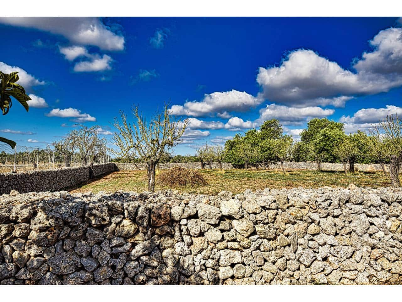 Finca/Herregård til salgs i Maria de la Salud / Maria de la Salut - € 355 000 (Ref: 6149885)