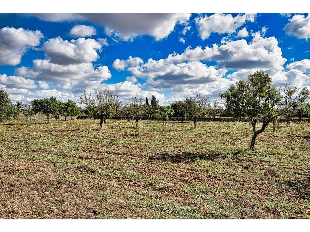 Finca/Herregård til salgs i Maria de la Salud / Maria de la Salut - € 355 000 (Ref: 6149885)