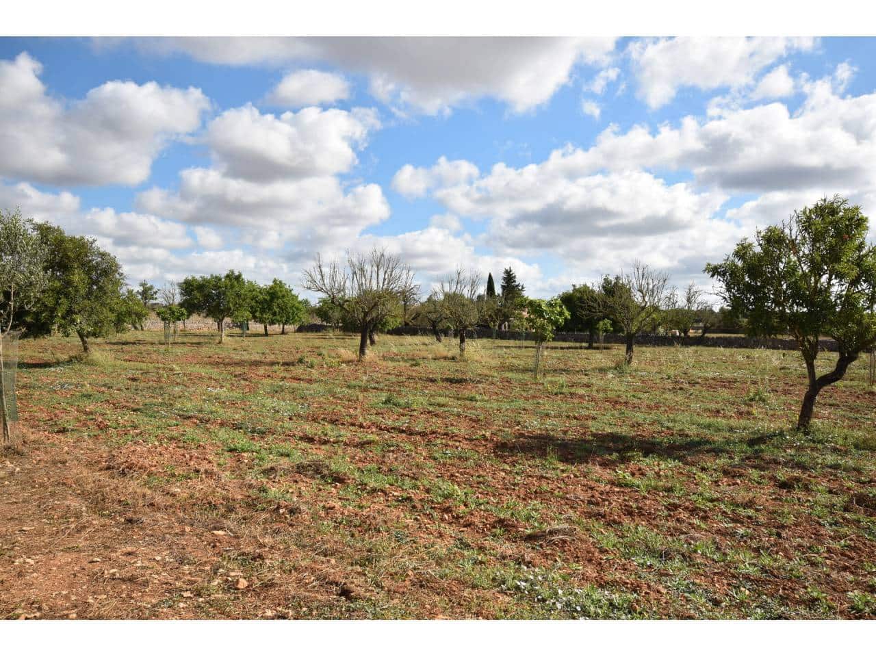 Finca/Herregård til salgs i Maria de la Salud / Maria de la Salut - € 355 000 (Ref: 6149885)