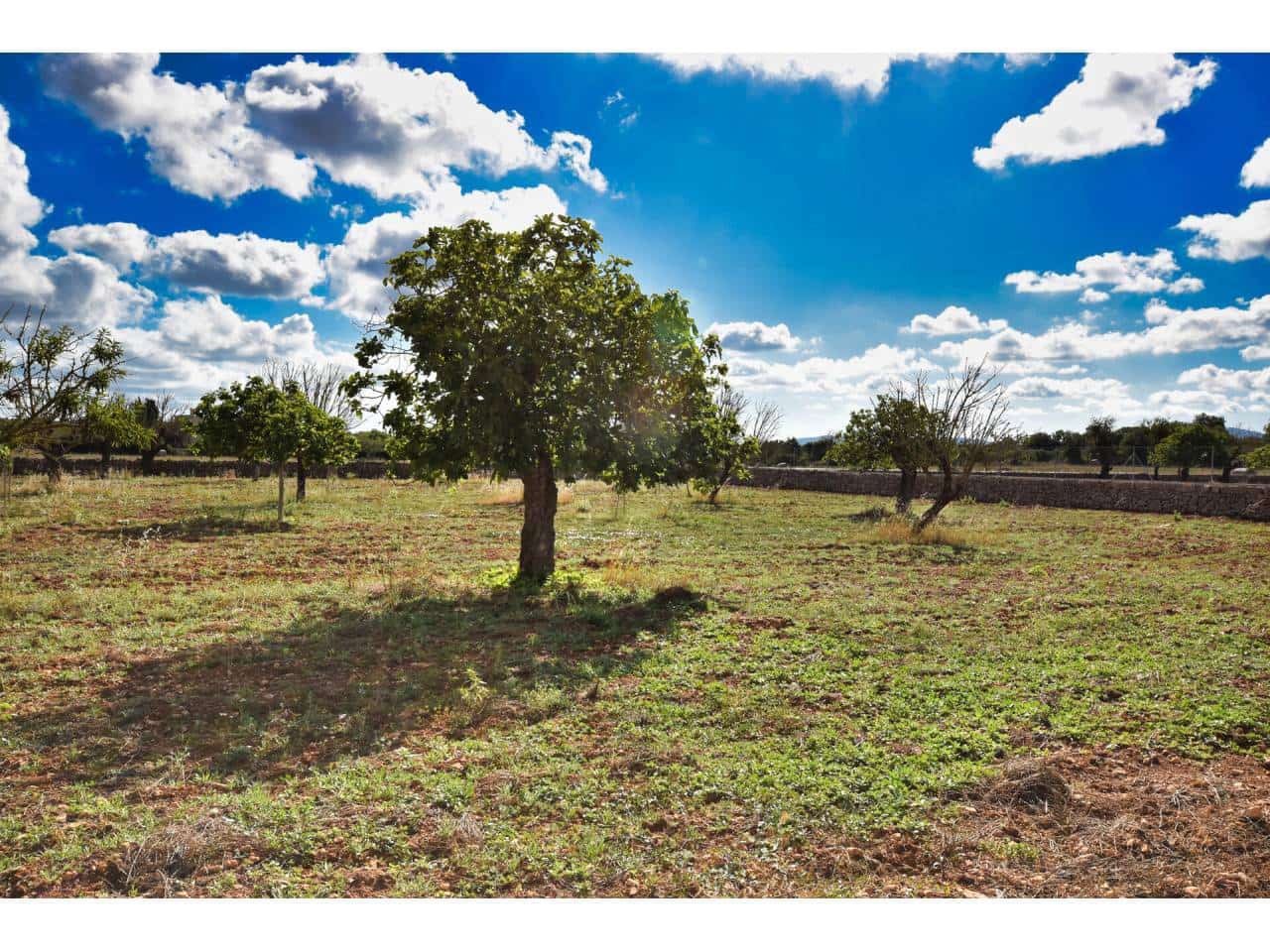 Finca/Herregård til salgs i Maria de la Salud / Maria de la Salut - € 355 000 (Ref: 6149885)