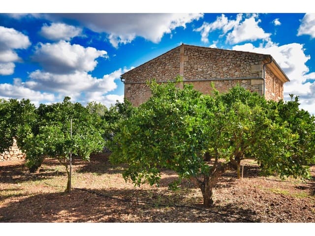 Finca/Landehus til salg i María de la Salud / María de la Salut - € 355.000 (Ref: 6149885)