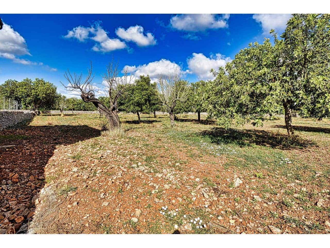 Finca/Herregård til salgs i Maria de la Salud / Maria de la Salut - € 355 000 (Ref: 6149885)