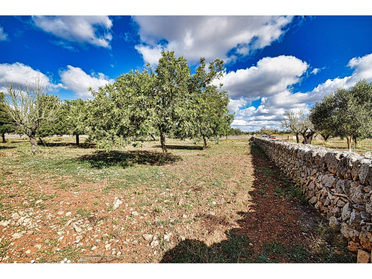 Finca/Herregård til salgs i Maria de la Salud / Maria de la Salut - € 355 000 (Ref: 6149885)