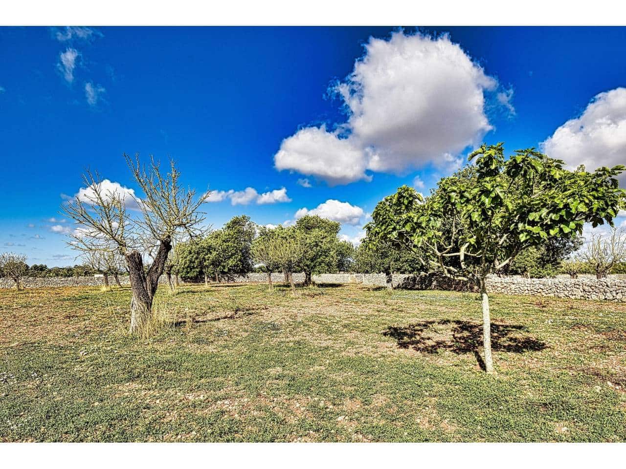 Finca/Herregård til salgs i Maria de la Salud / Maria de la Salut - € 355 000 (Ref: 6149885)