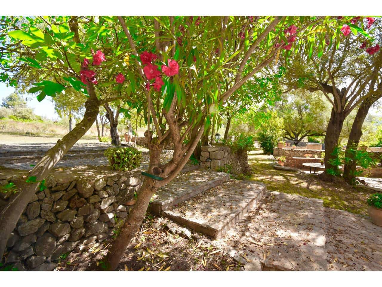 4 chambre Finca/Maison de Campagne à vendre à Arta avec piscine - 4 600 000 € (Ref: 6432742)