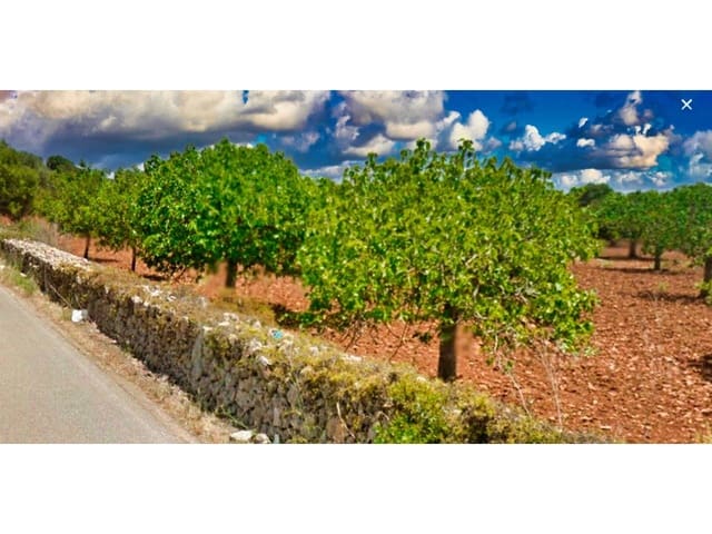 Villa/Maison à vendre à Portocristo / Port de Manacor, Manacor - 945 000 € (Ref: 6744003)