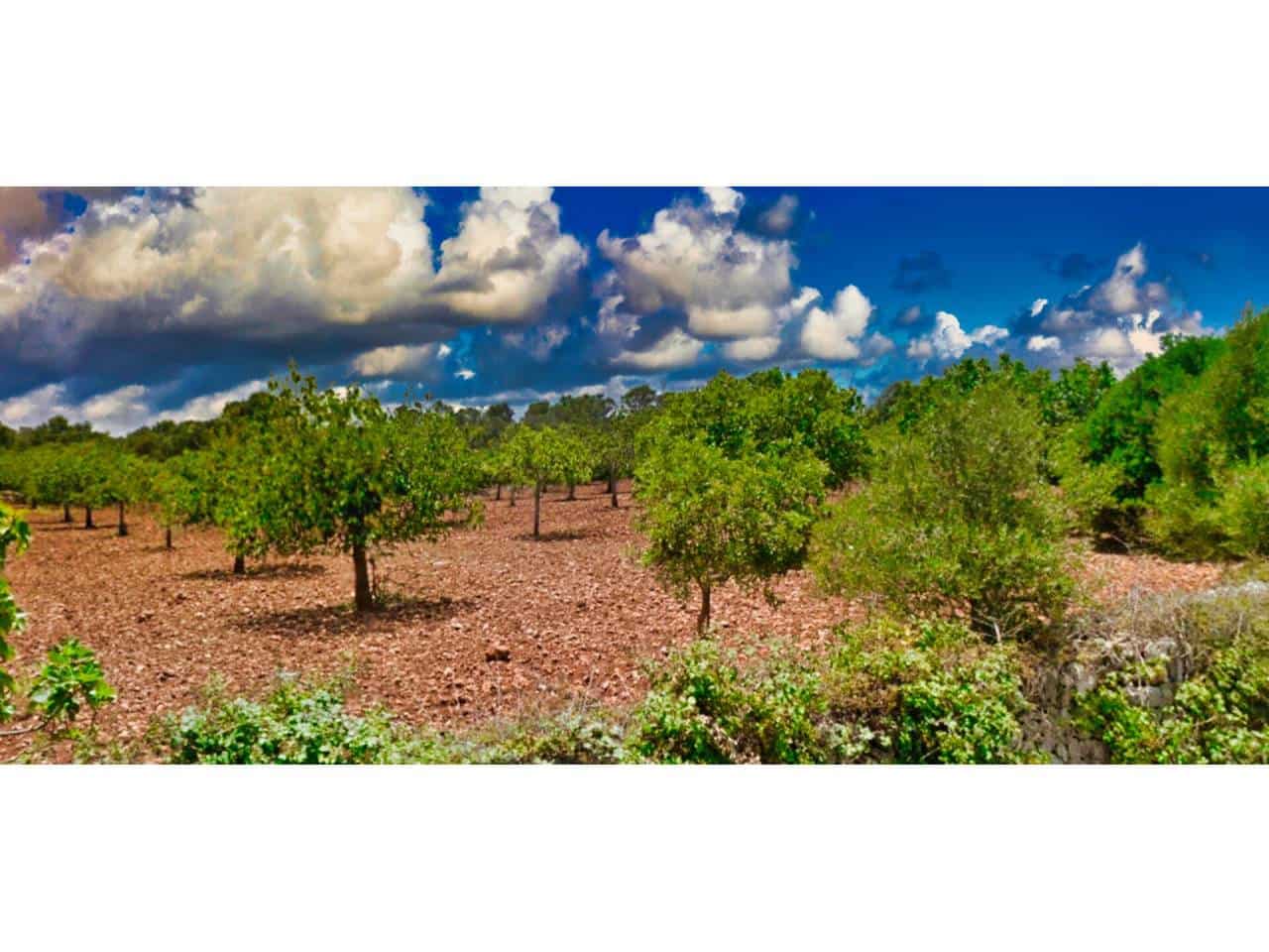 Villa til salg i Portocristo / Port de Manacor - € 945.000 (Ref: 6744003)