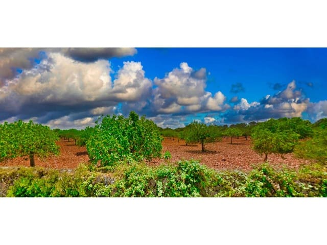 Villa/Maison à vendre à Portocristo / Port de Manacor, Manacor - 945 000 € (Ref: 6744003)