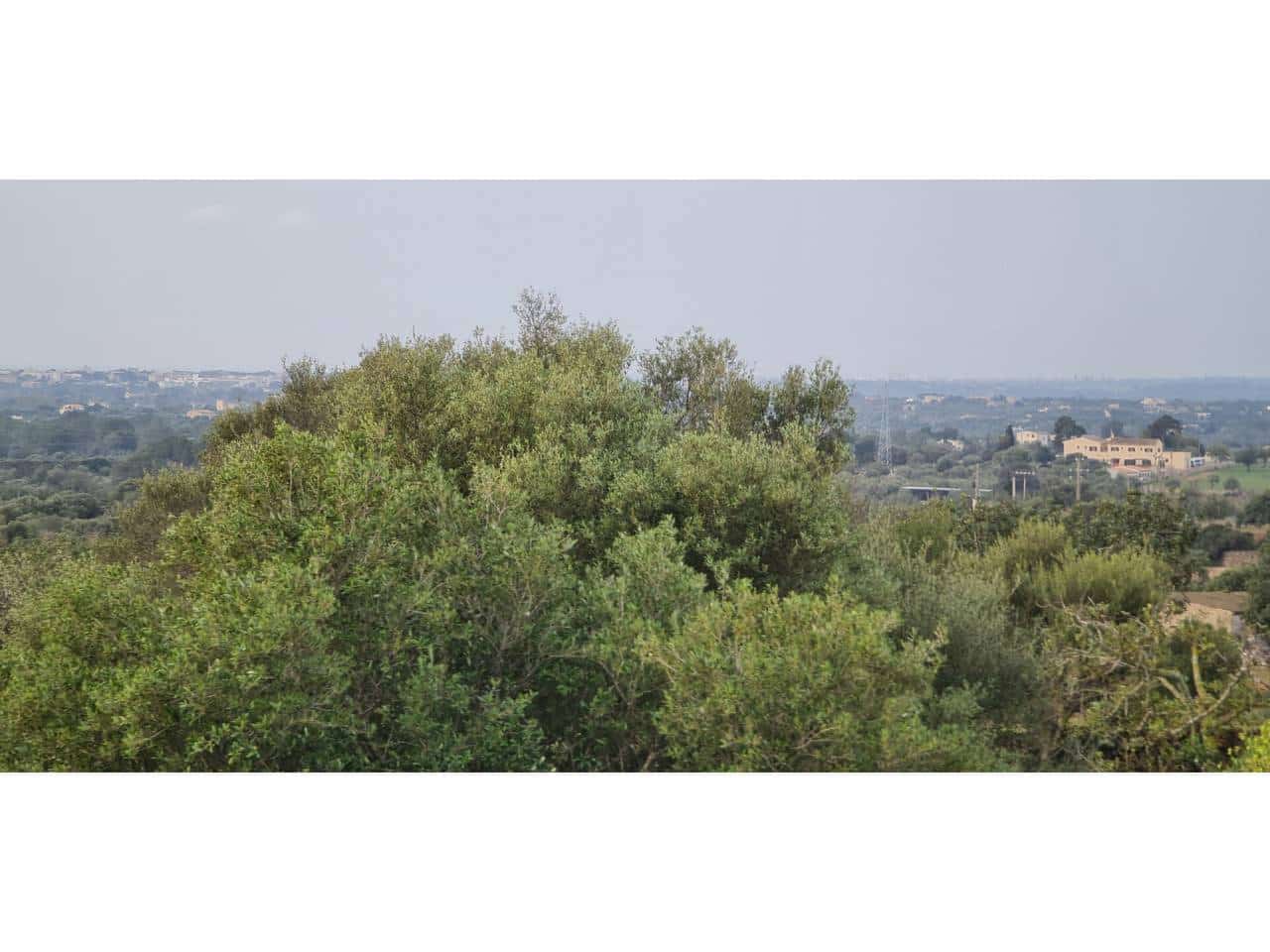 4 slaapkamer Finca/Landhuis te koop in Sant Llorenc des Cardassar met zwembad garage - € 2.810.000 (Ref: 6930610)