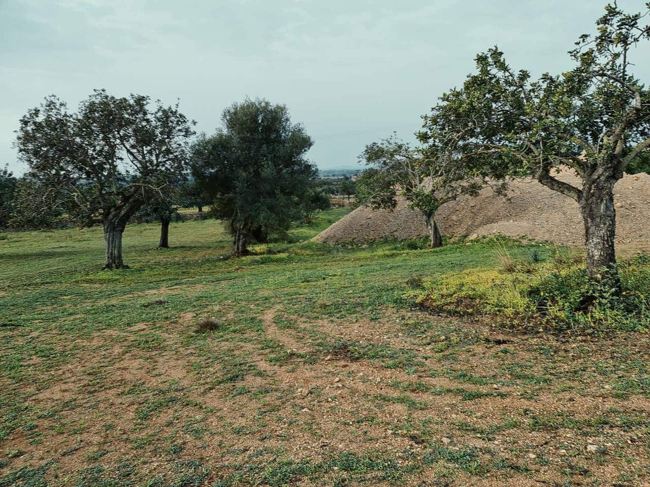 4 slaapkamer Finca/Landhuis te koop in Sant Llorenc des Cardassar met zwembad garage - € 2.810.000 (Ref: 6930610)