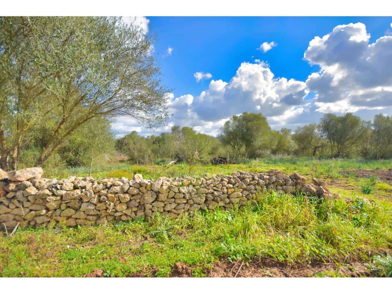 Solar/Parcela en Santa Margalida en venta - 198.000 € (Ref: 7466400)