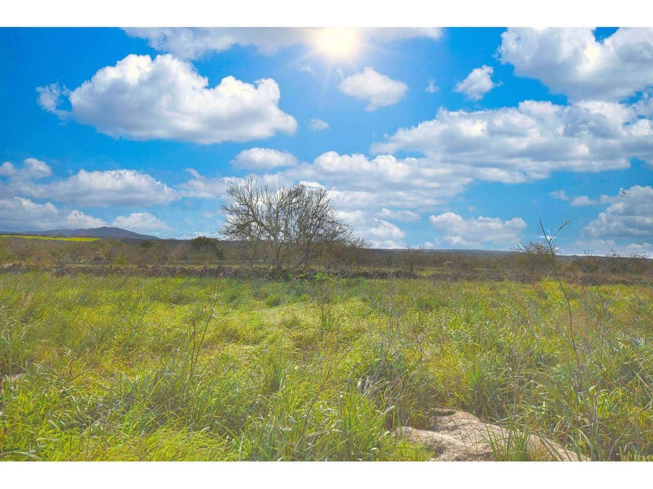 Solar/Parcela en Santa Margalida en venta - 198.000 € (Ref: 7466400)