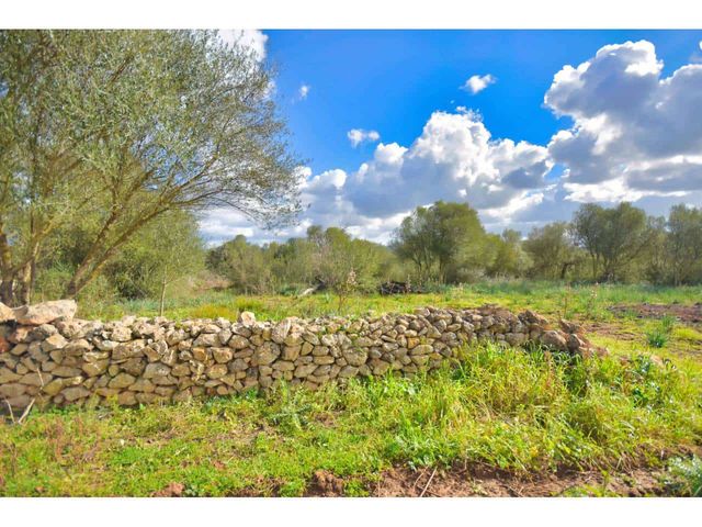 Bauplatz zu verkaufen in Santa Margalida - 198.000 € (Ref: 7466400)