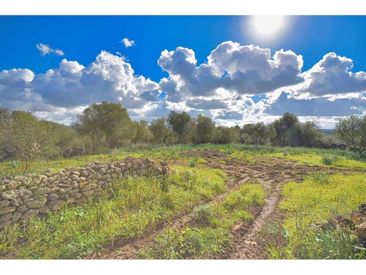 Solar/Parcela en Santa Margalida en venta - 198.000 € (Ref: 7466400)