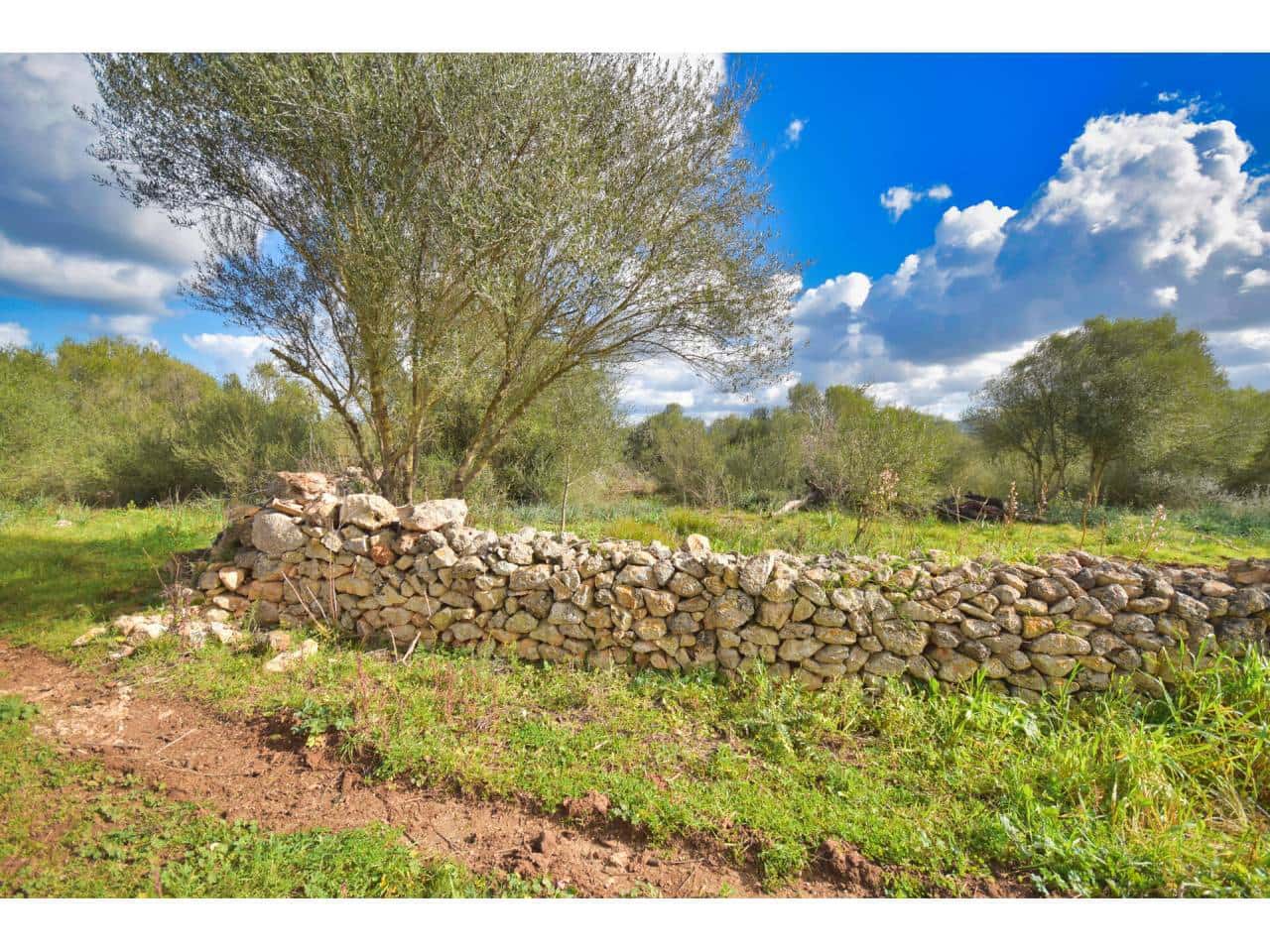 Solar/Parcela en Santa Margalida en venta - 198.000 € (Ref: 7466400)