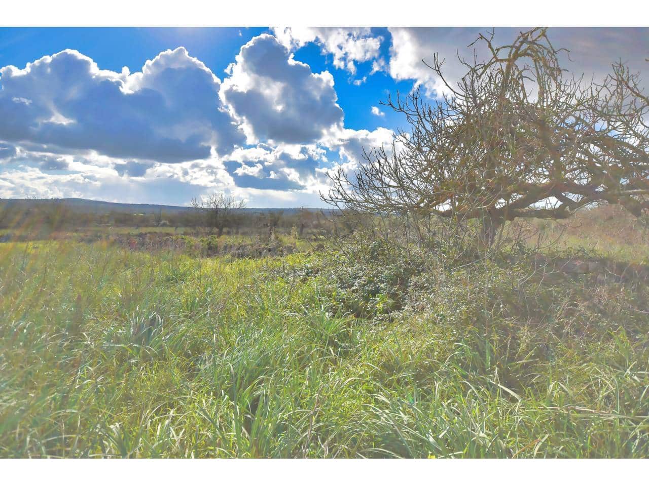 Solar/Parcela en Santa Margalida en venta - 198.000 € (Ref: 7466400)
