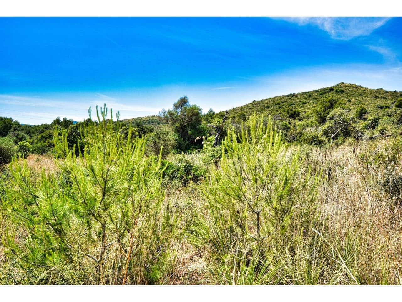 Finca/Landehus til salg i Cala Mesquida - € 645.000 (Ref: 7657388)