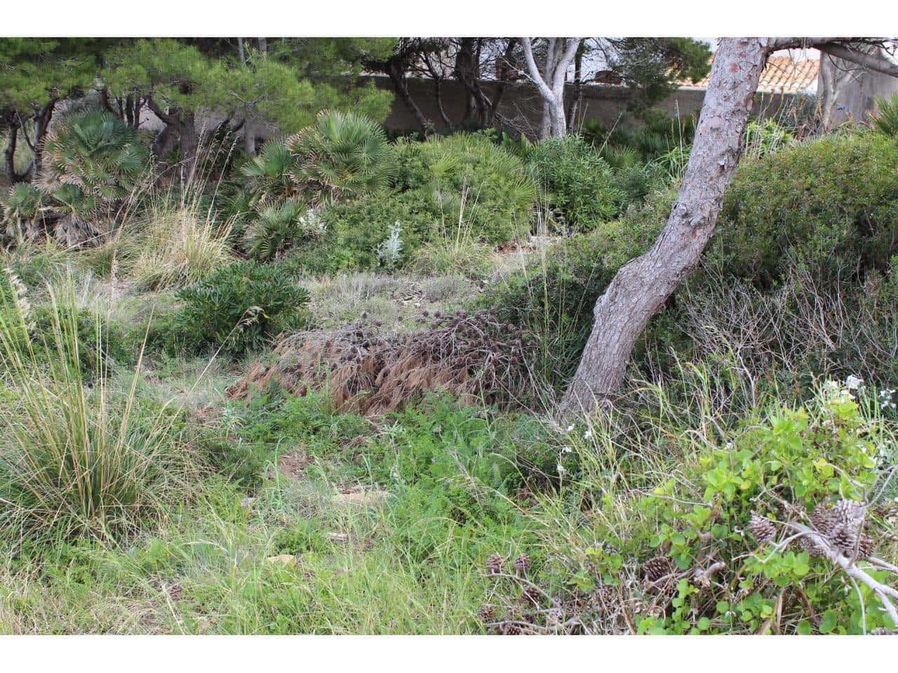 Grunde uden byggetilladelser til salg i Cala Ratjada - € 499.000 (Ref: 7706419)