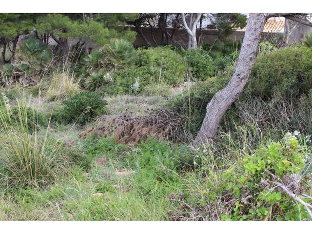 Mark till salu i Cala Ratjada, Capdepera - 499 000 € (Ref: 7706419)