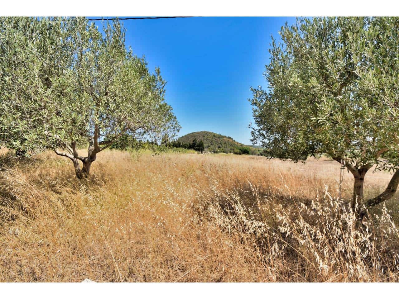 2 soverom Finca/Herregård til salgs i Son Servera - € 1 499 000 (Ref: 7715959)