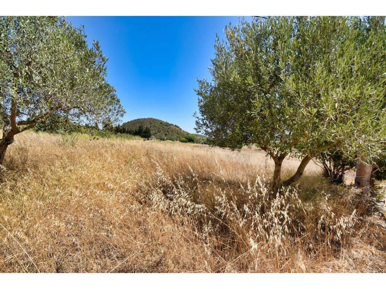 2 soverom Finca/Herregård til salgs i Son Servera - € 1 499 000 (Ref: 7715959)