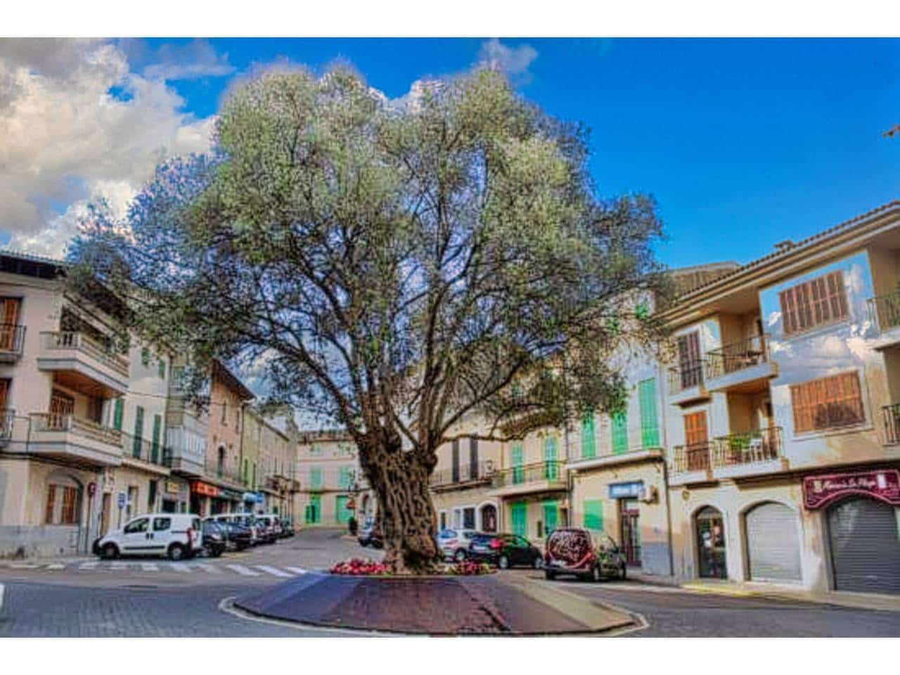 Grunde uden byggetilladelser til salg i Santa Margalida - € 244.000 (Ref: 8093793)