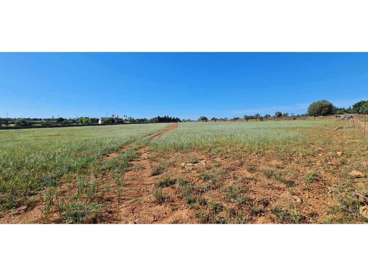 Grunde uden byggetilladelser til salg i Santa Margalida - € 1.499.000 (Ref: 8382203)