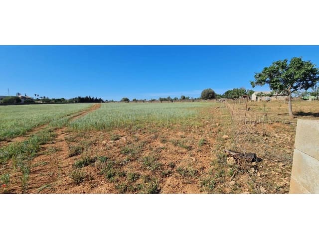 Undeveloped Land for sale in Santa Margalida - € 1,499,000 (Ref: 8382203)