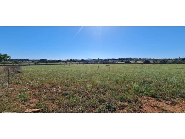 Undeveloped Land for sale in Santa Margalida - € 1,499,000 (Ref: 8382203)