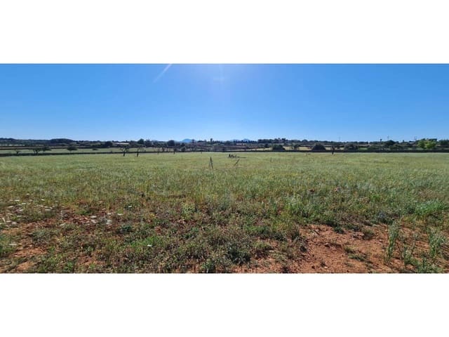 Undeveloped Land for sale in Santa Margalida - € 1,499,000 (Ref: 8382203)