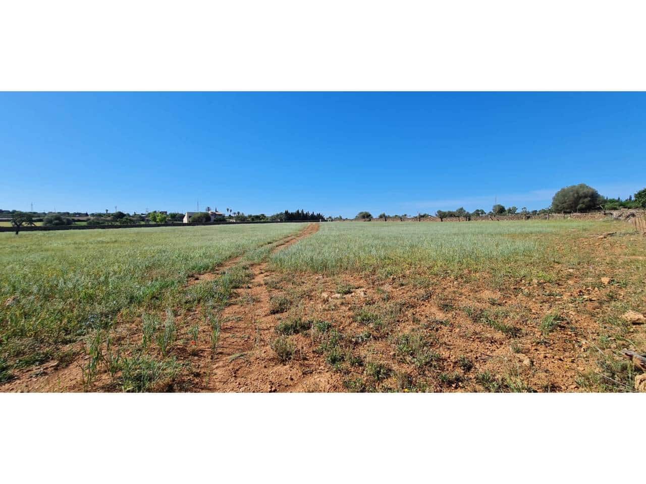 Grunde uden byggetilladelser til salg i Santa Margalida - € 1.499.000 (Ref: 8382203)