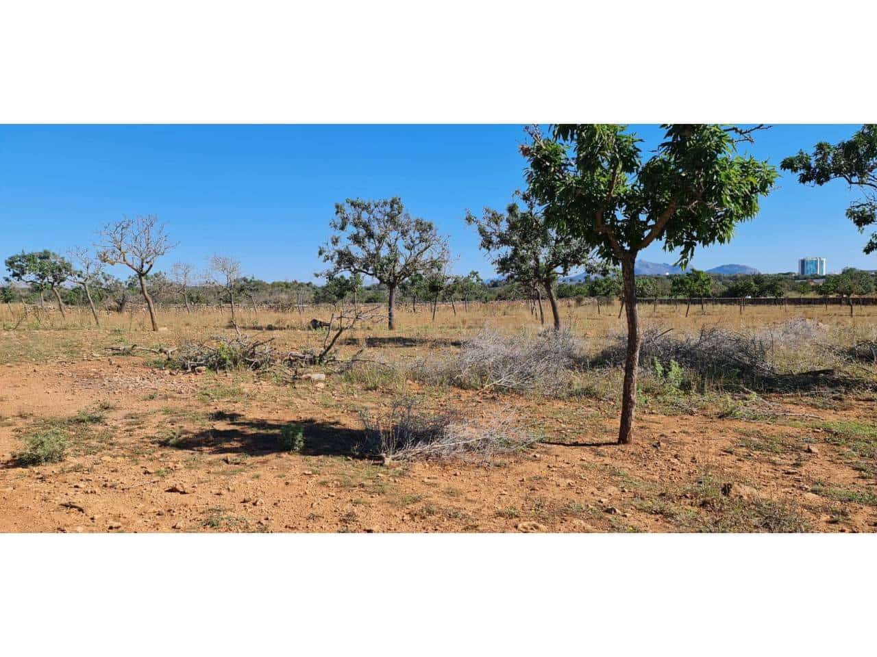 Grunde uden byggetilladelser til salg i Santa Margalida - € 1.499.000 (Ref: 8382203)