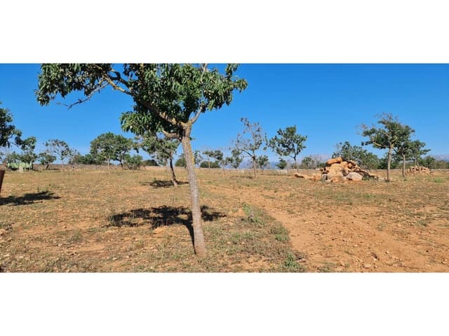 Undeveloped Land for sale in Santa Margalida - € 1,499,000 (Ref: 8382203)