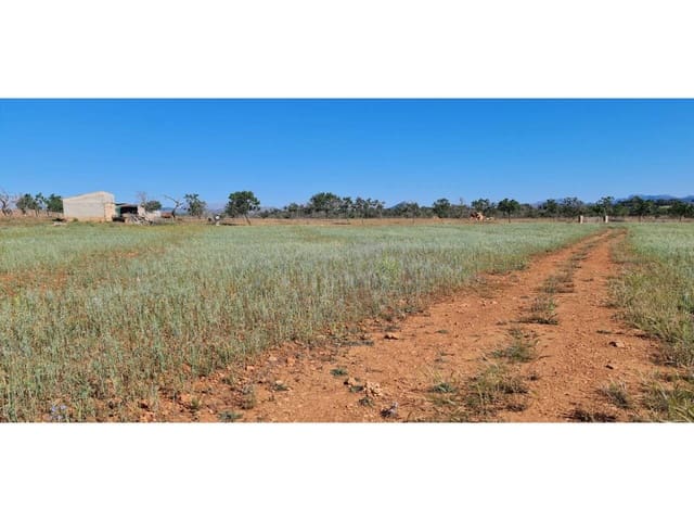 Undeveloped Land for sale in Santa Margalida - € 1,499,000 (Ref: 8382203)