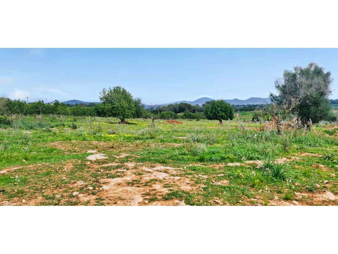 Finca/Landhuis te koop in S'Illot - € 369.000 (Ref: 8864273)