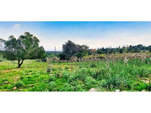 Finka/Dom wiejski na sprzedaż w S'Illot, Sant Llorenç des Cardassar - 369 000 € (Ref: 8864273)