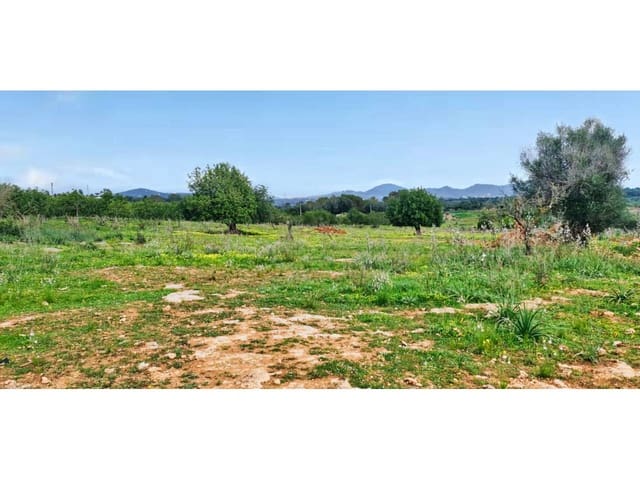 Finka/Dom wiejski na sprzedaż w S'Illot, Sant Llorenç des Cardassar - 369 000 € (Ref: 8864273)