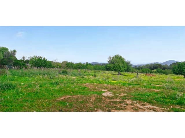 Finka/Dom wiejski na sprzedaż w S'Illot, Sant Llorenç des Cardassar - 369 000 € (Ref: 8864273)