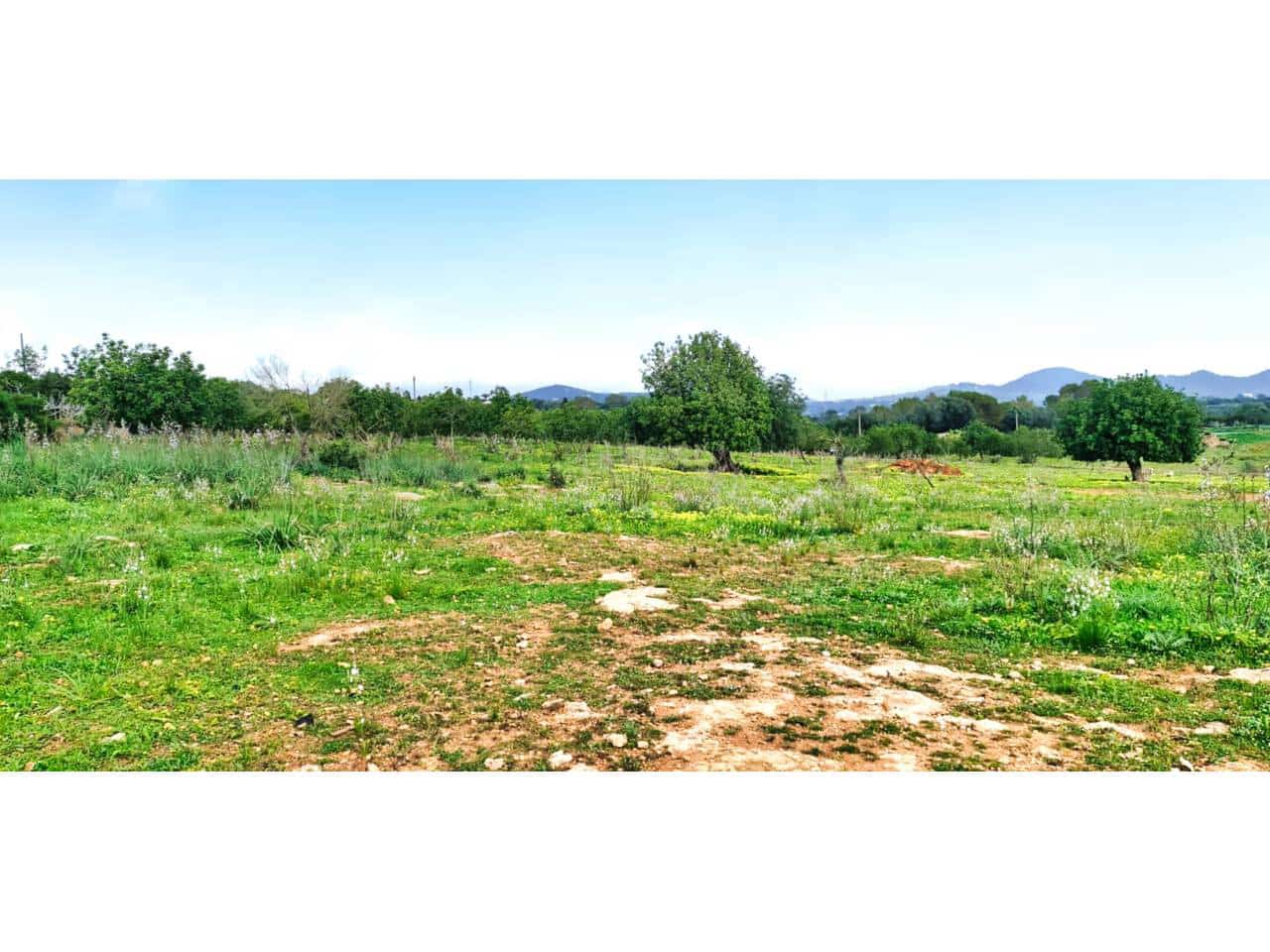 Finca/Landhuis te koop in S'Illot - € 369.000 (Ref: 8864273)