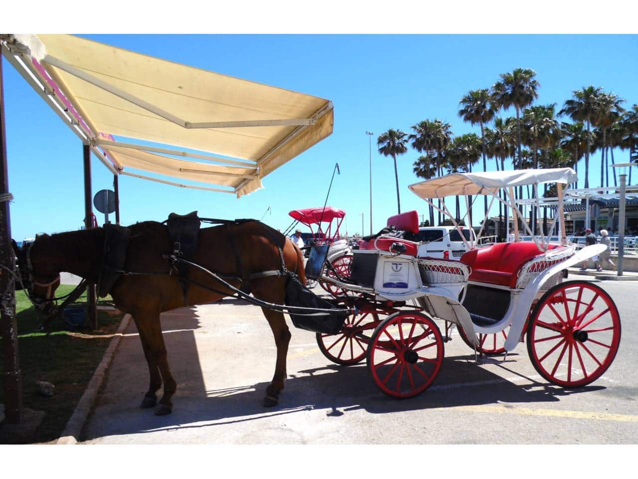 Finca/Landhuis te koop in S'Illot - € 369.000 (Ref: 8864273)