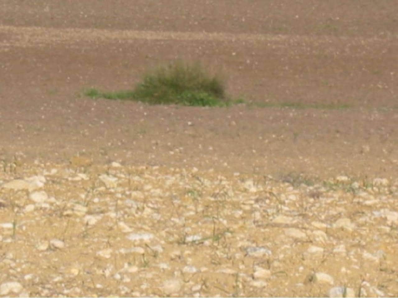 Finca/Landhuis te koop in Santa Margalida - € 190.000 (Ref: 8940734)