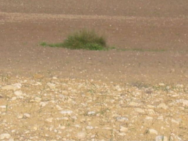 Finca/Maison de Campagne à vendre à Santa Margalida - 190 000 € (Ref: 8940734)