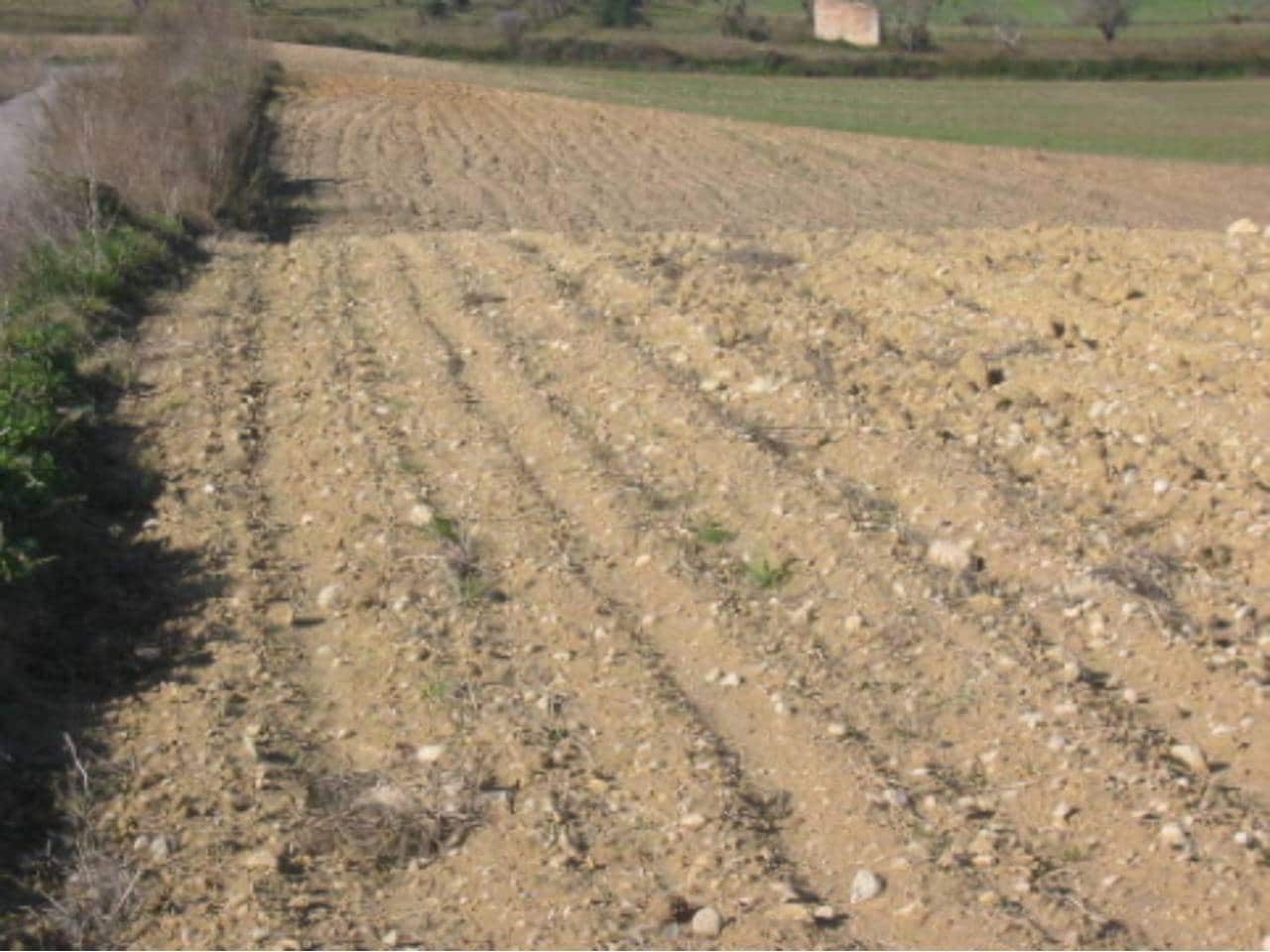 Finca/Landhuis te koop in Santa Margalida - € 190.000 (Ref: 8940734)