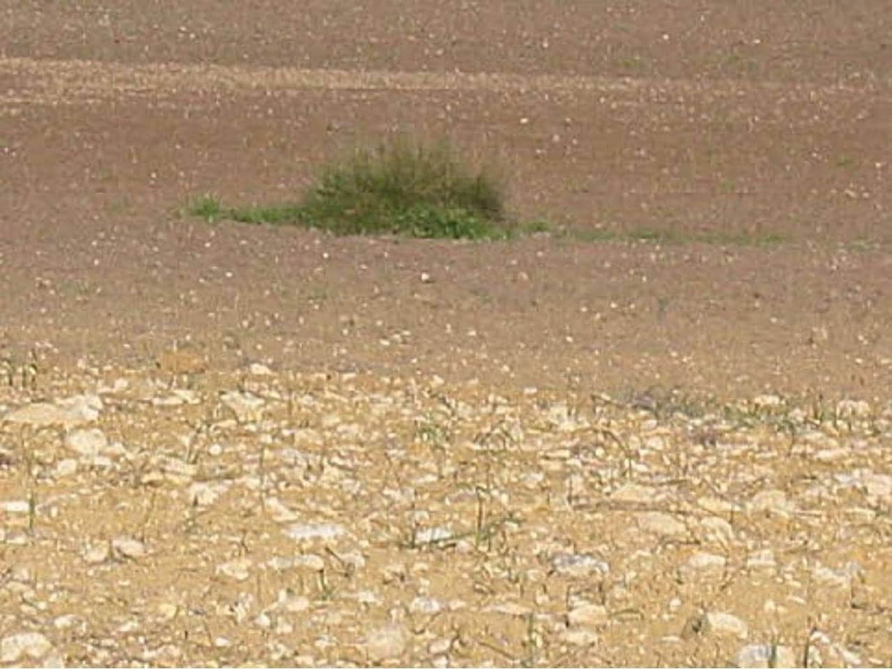 Finca/Landhuis te koop in Santa Margalida - € 190.000 (Ref: 8940734)