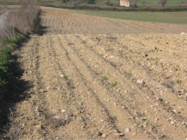 Finca/Maison de Campagne à vendre à Santa Margalida - 190 000 € (Ref: 8940734)